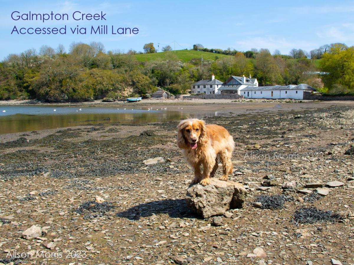 Dart Haven - Cheerful Holiday Bungalow In Galmpton Buitenkant foto