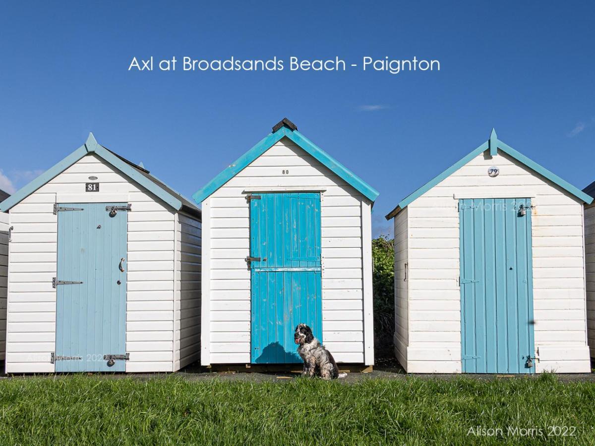 Dart Haven - Cheerful Holiday Bungalow In Galmpton Buitenkant foto